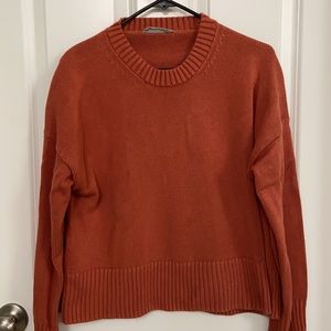 Women Everlane  Cropped Crew-neck Sweater